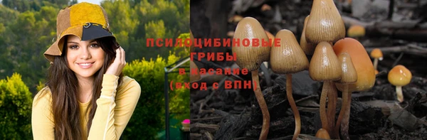 Альфа ПВП Алзамай