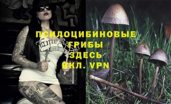 МДПВ Алексеевка
