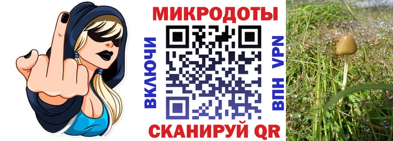 дарк нет состав  Каргат  Галлюциногенные грибы мухоморы  продажа наркотиков 