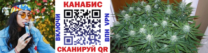 Шишки марихуана OG Kush Каргат